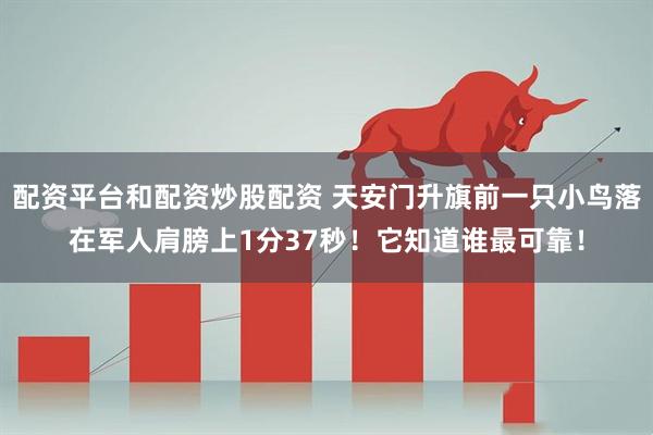 配资平台和配资炒股配资 天安门升旗前一只小鸟落在军人肩膀上1分37秒！它知道谁最可靠！